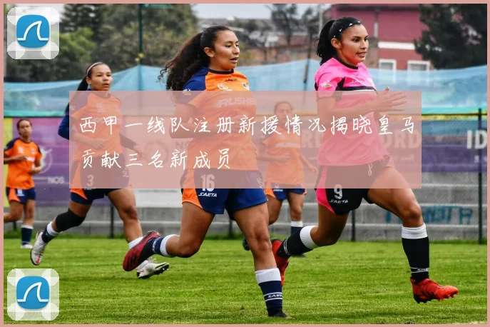 西甲一线队注册新援情况揭晓皇马贡献三名新成员