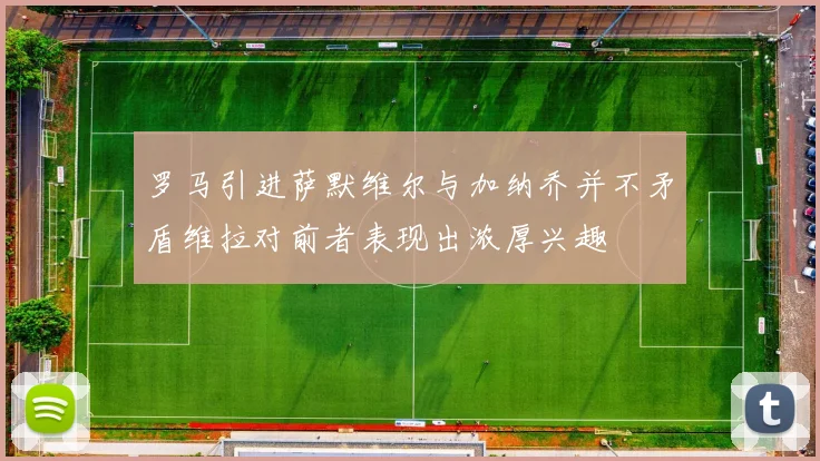 罗马引进萨默维尔与加纳乔并不矛盾维拉对前者表现出浓厚兴趣