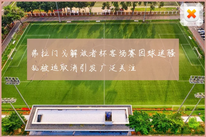 弗拉门戈解放者杯客场赛因球迷骚乱被迫取消引发广泛关注